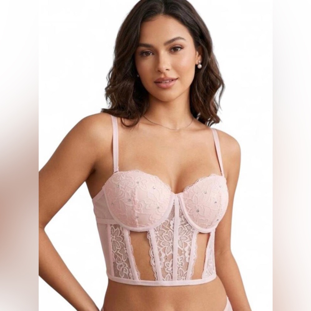 New Bodyrage Sheer Lace Longline Bustier Bra in Light Pink Size Small